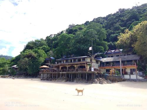 Rock sand Resort - 숙소 외관