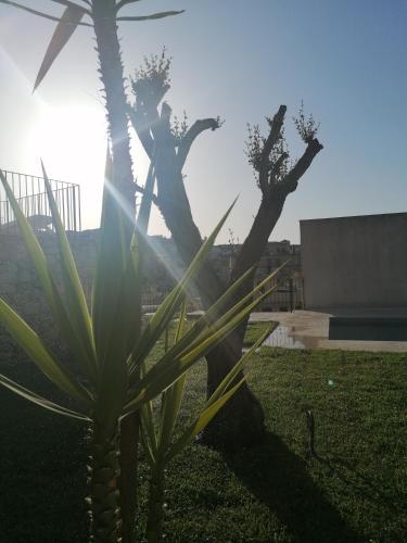Chiaralice, Noto (fotografie 9)