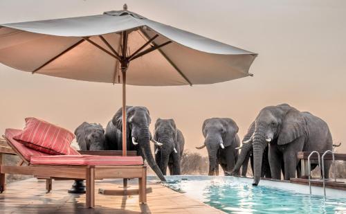 Central Kalahari Game Reserve