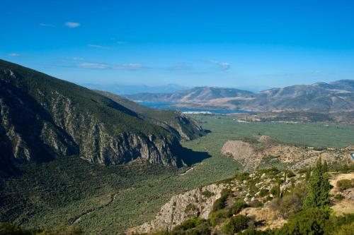 Photo - Acropole Delphi City Hotel