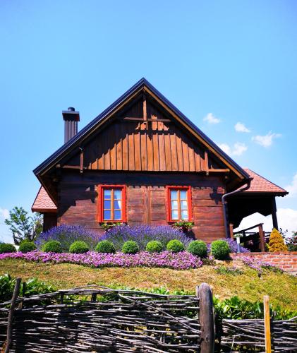 B&B Selnica - Kuća za odmor Stara hiža - Bed and Breakfast Selnica