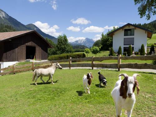 Bauernhof Vordermühltal