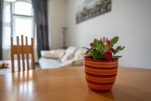 TopApartmany - image 6