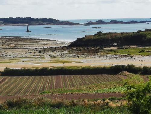 Ty Koad - Location saisonnière - Lanmodez