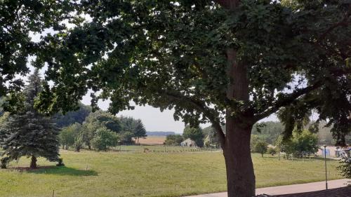 Ferienwohnung auf dem Land Mecklenburgische Seenplatte Müritz, ländliche Region