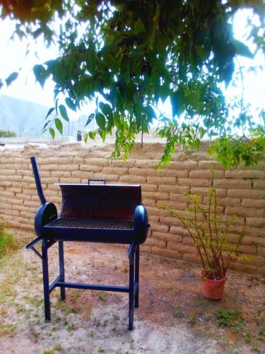 Casa Las Margaritas in Cuatrocienegas de Carranza