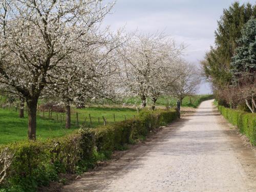 De Jölenberg - main image