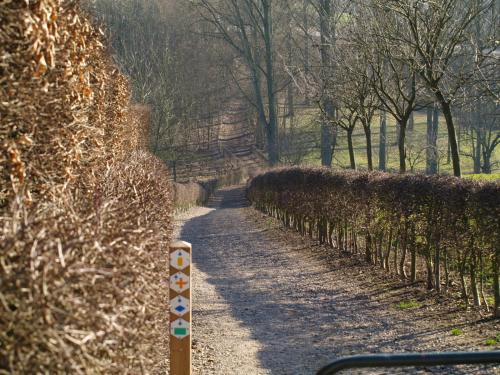 De Jölenberg - image 11