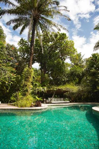 UXUA Casa Hotel & Spa - 수영장