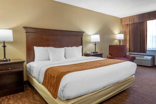 Comfort Inn At Thousand Hills