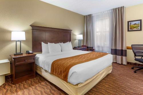 King Room with Roll-In Shower - Accessible/Non-Smoking