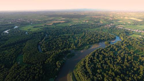 Genius Guest Unique Banovci Apartment Genius Guest Unique Banovci Apartment