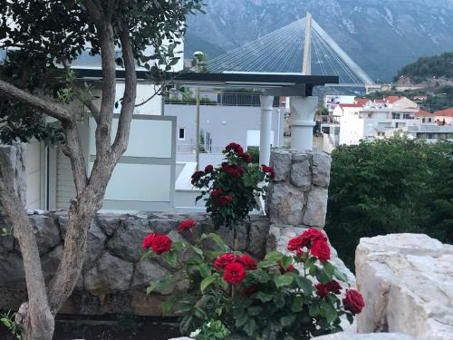 Apartments Adriatic Blue - image 14