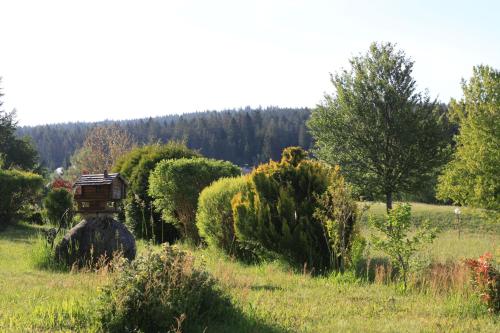 Ferienwohnung Naturpark Schluchsee