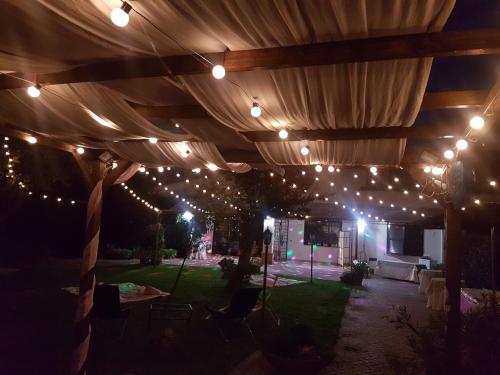  L'albero Del Pepe in Fiano Romano