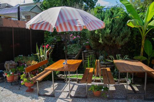 Palmira Guest House - image 2