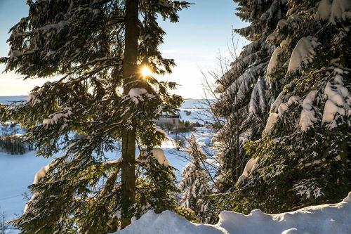 Pension und Gaststätte Naturbaude Eschenhof - image 11