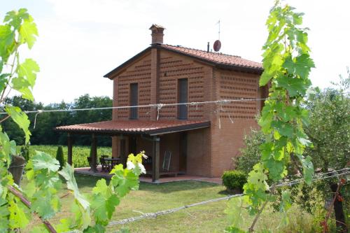 Il Sogno Tra I Vigneti - image 13