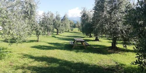 Agriturismo Fioralba - Hotel - Polpenazze del Garda