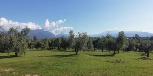 Agriturismo Fioralba