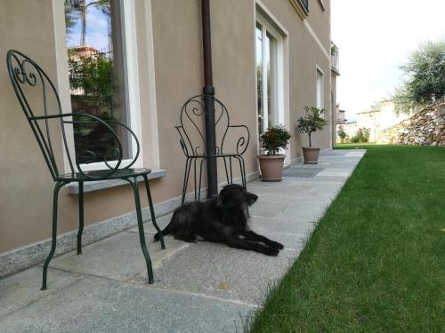  B&B Villa Antilia in Busca