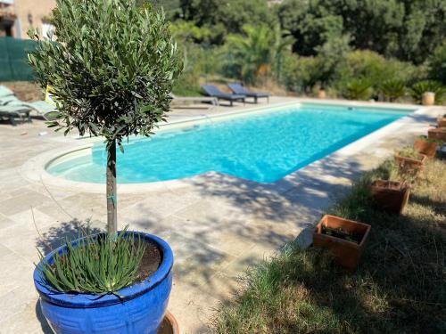 Villa proche de St Tropez avec piscine et grand jardin au calme - Location saisonnière - Cavalaire-sur-Mer