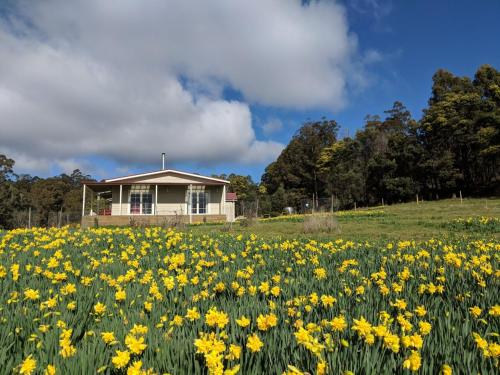 Mountain Blue Guest House - Deloraine