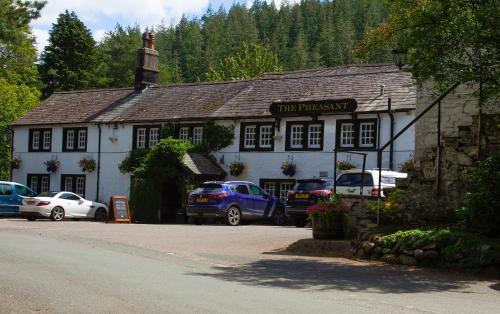 The Pheasant - image 9