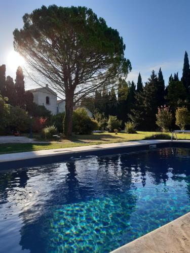 Remy a Dit - Chambre d'hôtes - Saint-Rémy-de-Provence