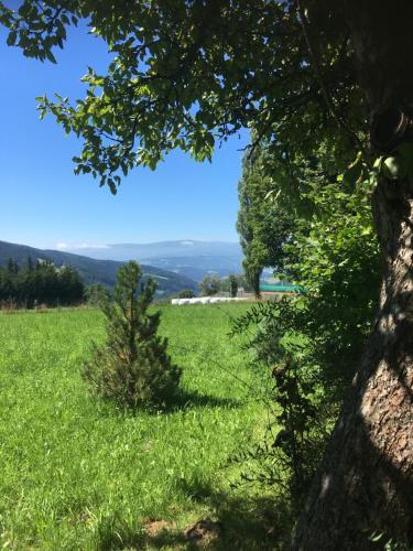 Naturforsthaus Gartenblick für tier- und naturverbundene Menschen