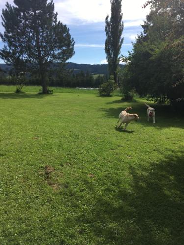 Naturforsthaus Gartenblick für tier- und naturverbundene Menschen