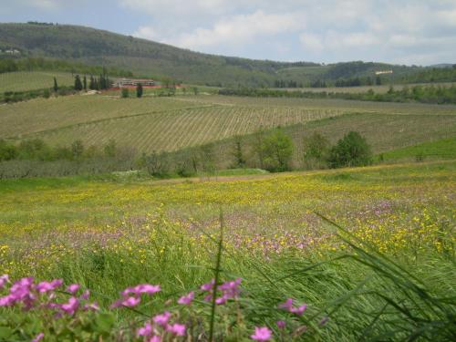 Nido Del Merlo - image 4