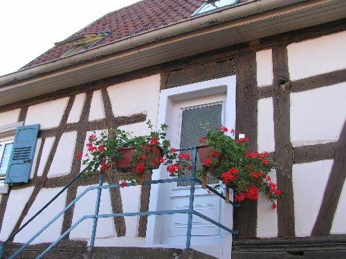 Gîte Fleur de Lin gîte à louer Landersheim