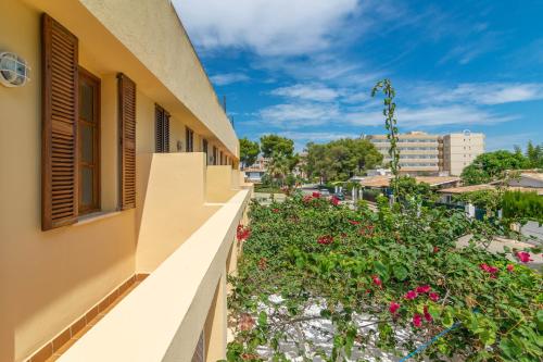 Bella - image 10