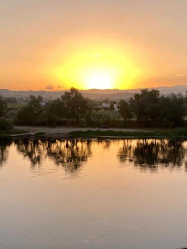 River Ebro Apartments