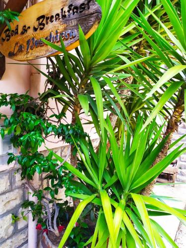  B&B La Peschiera in Carpineto Romano