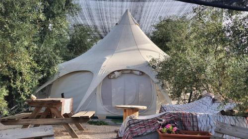 אוהל הזית in Herzliya City Center