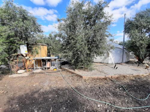 אוהל הזית in Herzliya City Center