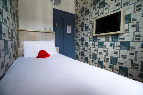 London Backpackers Youth Hostel - image 9