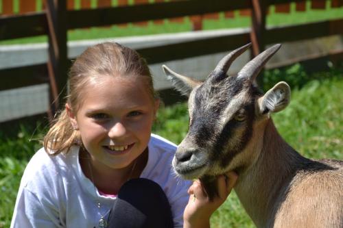 Feriendorf Ponyhof