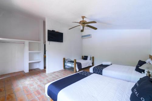 Cotlamani Hotel Aventura in Jalcomulco, Mexico