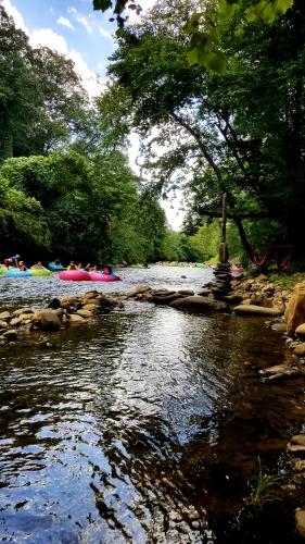 Bear Creek Lodge & Cabins- Pet Friendly