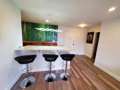 Just renovated 3 BR/2Bath/ parking+ downtown view