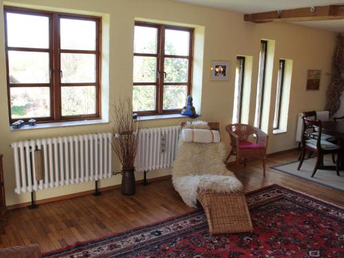 Cozy Apartment in Buschenhagen with Sauna