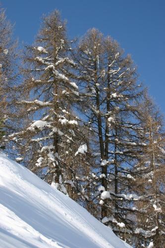 Madame Vacances Lodges des Alpages - image 4