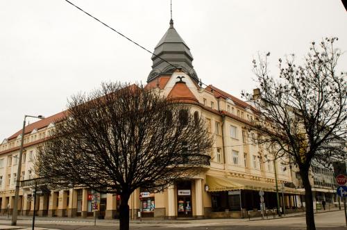 Hotel Dorottya - image 8