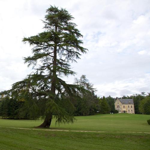 Château La Thuilière - main image