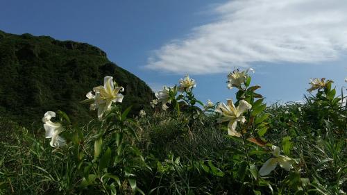 築100年の宿【はぶの家】, Oshima (fotografie 8)