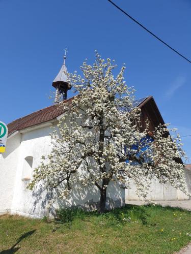 Ferienwohnung Rupp