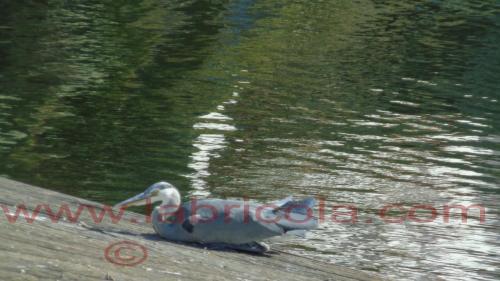 Laghi di sibari La Bricola Trilocale 6 (4+2) Posti letto Lato Darsena